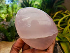 Polished Gemmy Rose Quartz Standing Free Forms x 2 From Madagascar - Toprock Gemstones and Minerals 