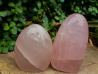 Polished Gemmy Rose Quartz Standing Free Forms x 2 From Madagascar - Toprock Gemstones and Minerals 