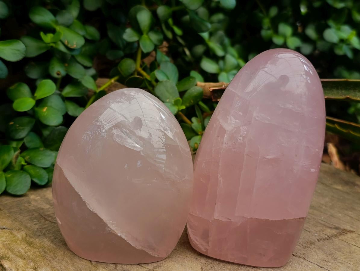 Polished Gemmy Rose Quartz Standing Free Forms x 2 From Madagascar - Toprock Gemstones and Minerals 