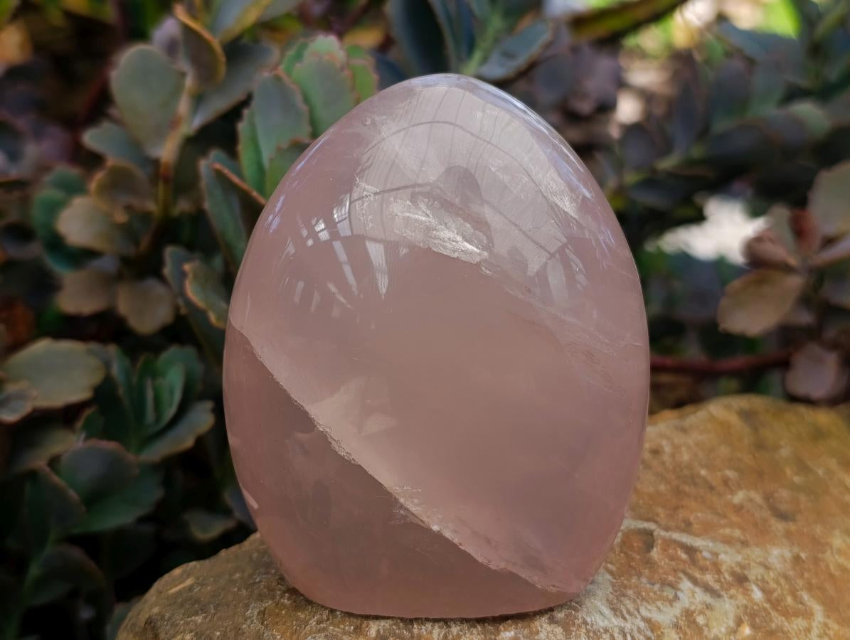 Polished Gemmy Rose Quartz Standing Free Forms x 2 From Madagascar - Toprock Gemstones and Minerals 