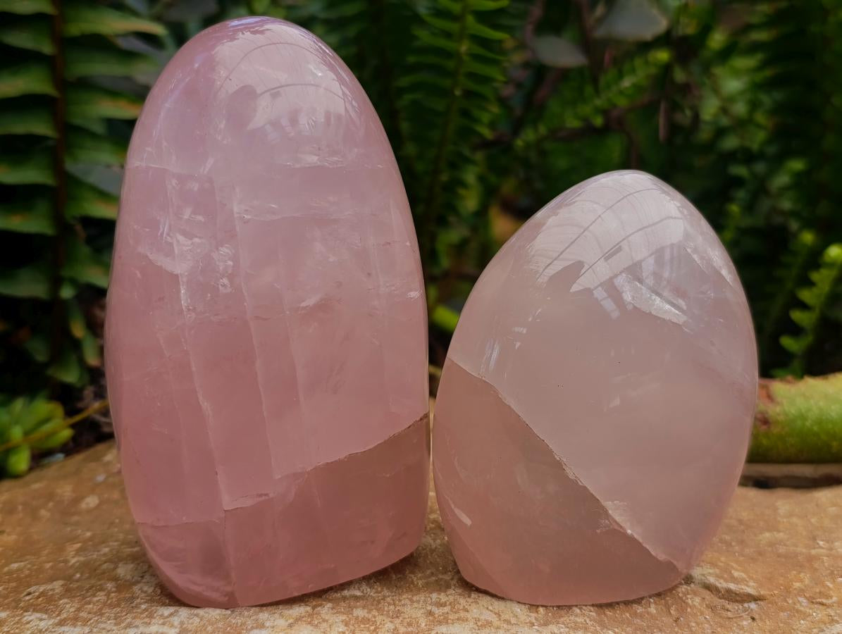 Polished Gemmy Rose Quartz Standing Free Forms x 2 From Madagascar - Toprock Gemstones and Minerals 