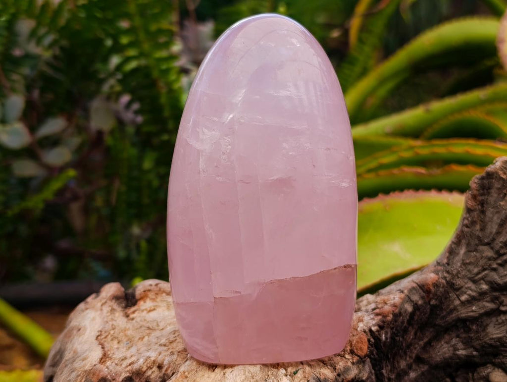 Polished Gemmy Rose Quartz Standing Free Forms x 2 From Madagascar - Toprock Gemstones and Minerals 