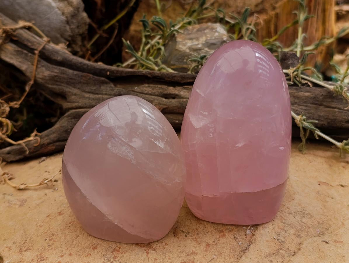Polished Gemmy Rose Quartz Standing Free Forms x 2 From Madagascar - Toprock Gemstones and Minerals 