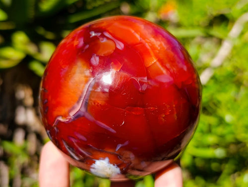 Polished Carnelian Agate Gemstone Spheres x 3 From Madagascar - Toprock Gemstones and Minerals 