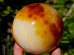 Polished Carnelian Agate Gemstone Spheres x 3 From Madagascar - Toprock Gemstones and Minerals 