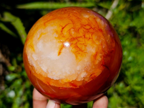 Polished Carnelian Agate Gemstone Spheres x 3 From Madagascar - Toprock Gemstones and Minerals 