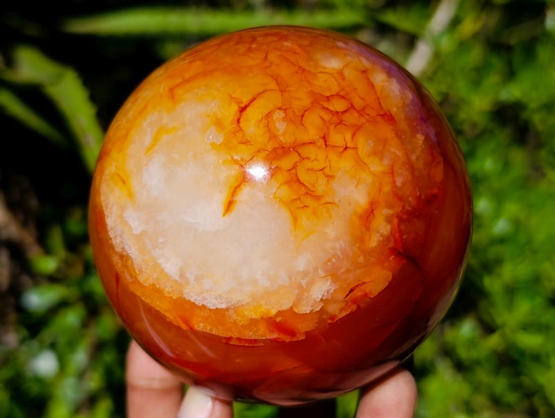 Polished Carnelian Agate Gemstone Spheres x 3 From Madagascar - Toprock Gemstones and Minerals 