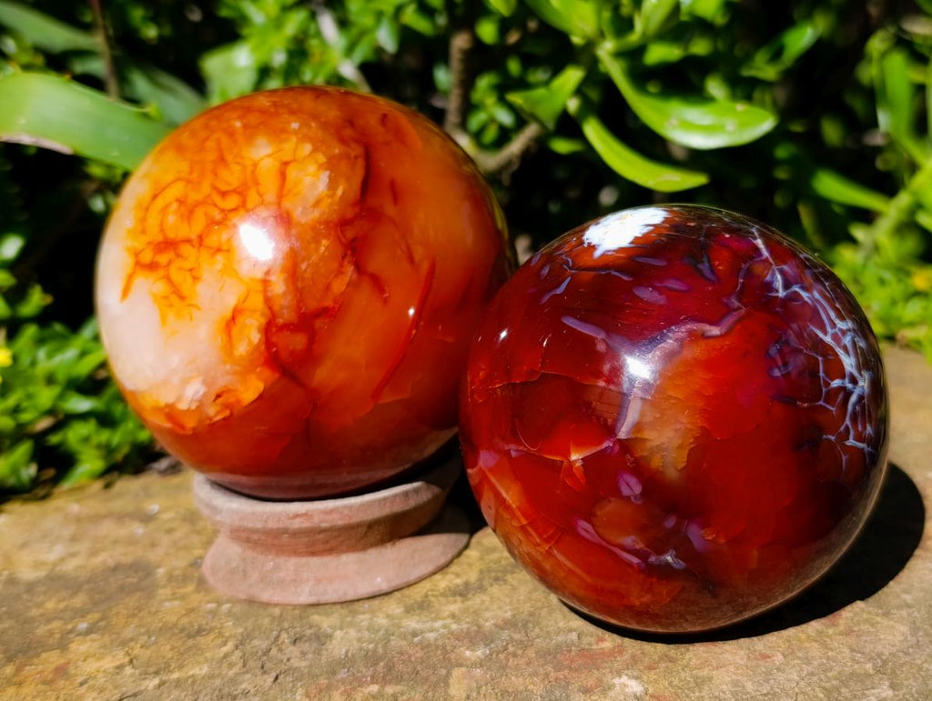 Polished Carnelian Agate Gemstone Spheres x 3 From Madagascar - Toprock Gemstones and Minerals 