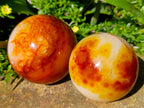 Polished Carnelian Agate Gemstone Spheres x 3 From Madagascar - Toprock Gemstones and Minerals 
