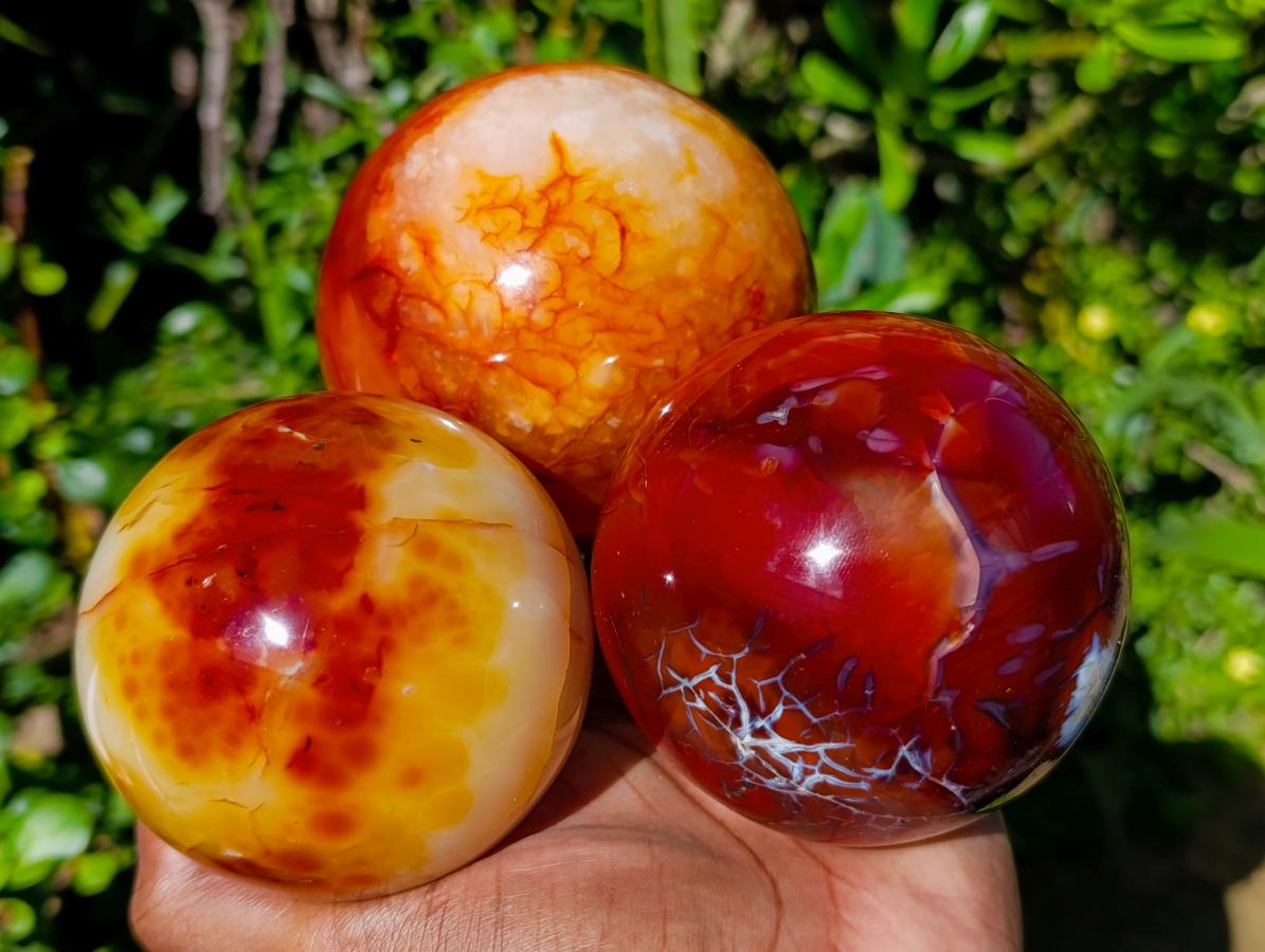 Polished Carnelian Agate Gemstone Spheres x 3 From Madagascar - Toprock Gemstones and Minerals 