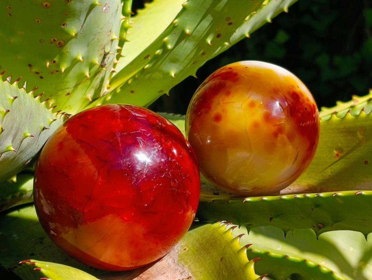 Polished Carnelian Agate Gemstone Spheres x 3 From Madagascar - Toprock Gemstones and Minerals 