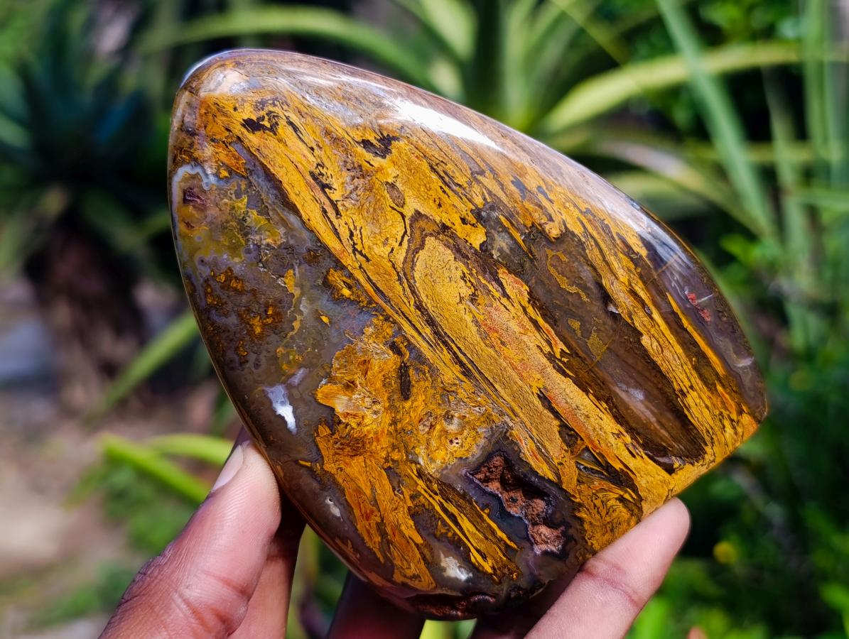 Polished Golden Tigers Eye Standing Free Forms x 3 From Prieska, South Africa - Toprock Gemstones and Minerals 