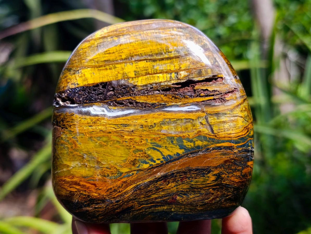 Polished Golden Tigers Eye Standing Free Forms x 3 From Prieska, South Africa - Toprock Gemstones and Minerals 