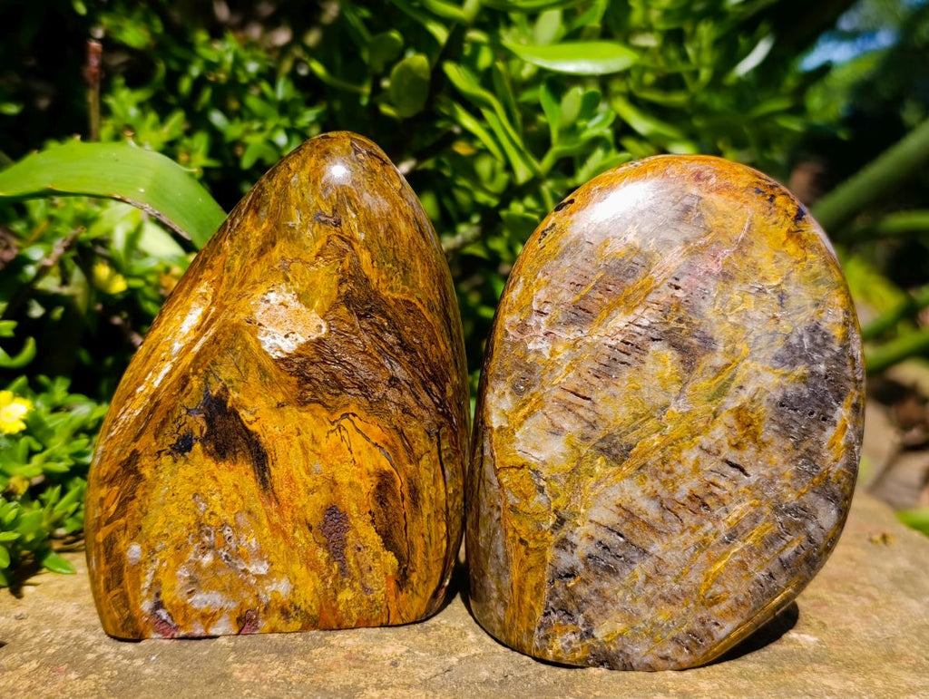 Polished Golden Tigers Eye Standing Free Forms x 3 From Prieska, South Africa - Toprock Gemstones and Minerals 