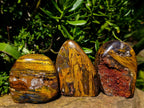 Polished Golden Tigers Eye Standing Free Forms x 3 From Prieska, South Africa - Toprock Gemstones and Minerals 