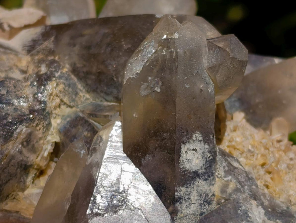 Natural Smokey Quartz Crystal Clusters x 3 From Erongo, Namibia - Toprock Gemstones and Minerals 