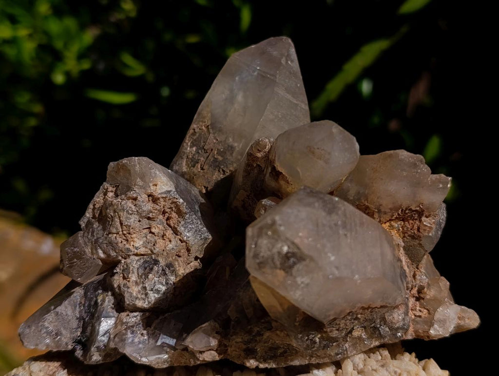 Natural Smokey Quartz Crystal Clusters x 3 From Erongo, Namibia - Toprock Gemstones and Minerals 