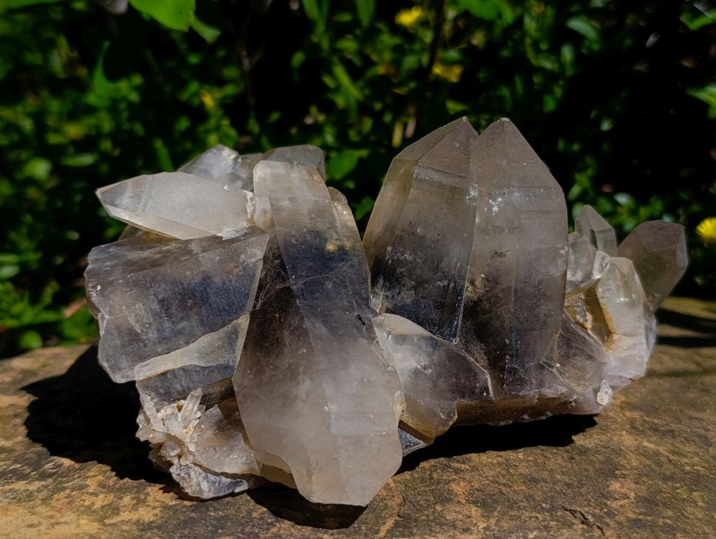 Natural Smokey Quartz Crystal Clusters x 3 From Erongo, Namibia - Toprock Gemstones and Minerals 