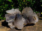 Natural Smokey Quartz Crystal Clusters x 3 From Erongo, Namibia - Toprock Gemstones and Minerals 
