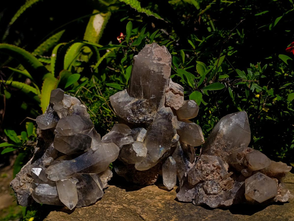 Natural Smokey Quartz Crystal Clusters x 3 From Erongo, Namibia - Toprock Gemstones and Minerals 