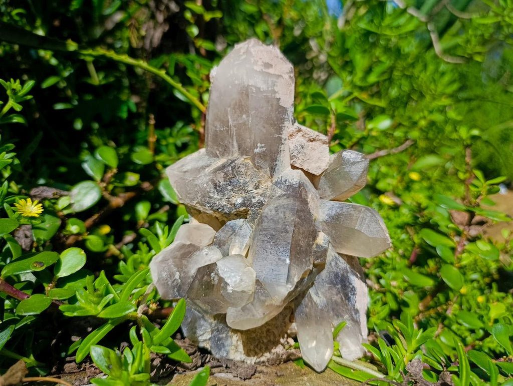 Natural Smokey Quartz Crystal Clusters x 3 From Erongo, Namibia - Toprock Gemstones and Minerals 