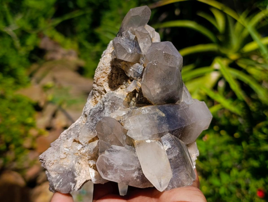 Natural Smokey Quartz Crystal Clusters x 3 From Erongo, Namibia - Toprock Gemstones and Minerals 