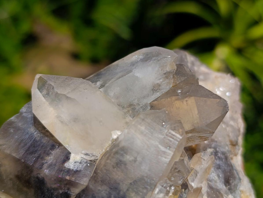 Natural Smokey Quartz Crystal Clusters x 3 From Erongo, Namibia - Toprock Gemstones and Minerals 