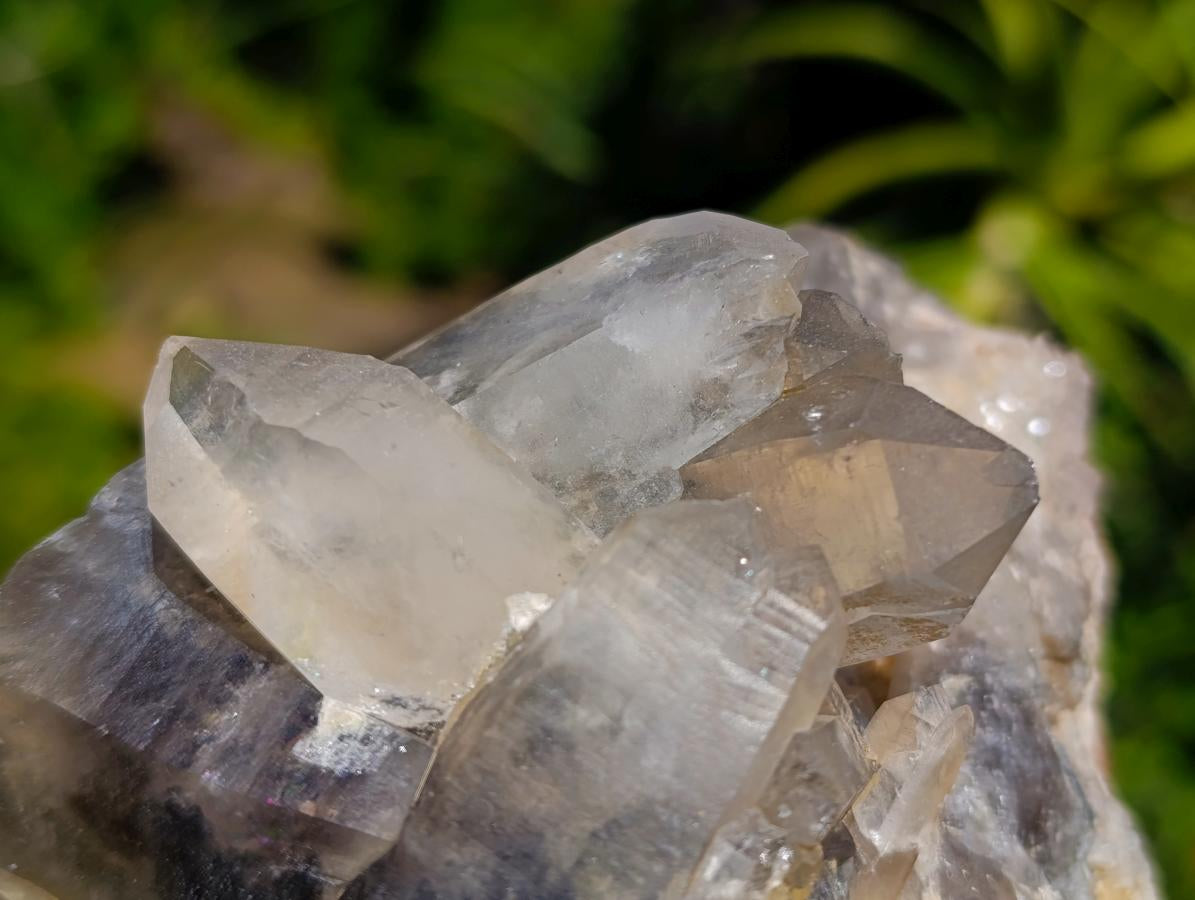 Natural Smokey Quartz Crystal Clusters x 3 From Erongo, Namibia - Toprock Gemstones and Minerals 
