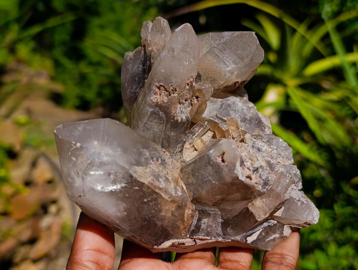 Natural Smokey Quartz Crystal Clusters x 3 From Erongo, Namibia - Toprock Gemstones and Minerals 