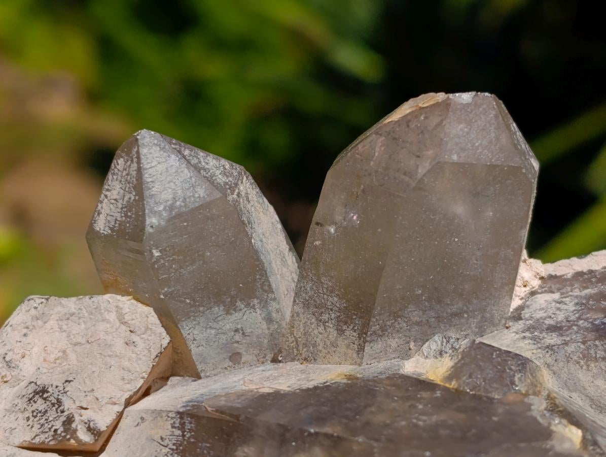 Natural Smokey Quartz Crystal Clusters x 3 From Erongo, Namibia - Toprock Gemstones and Minerals 