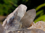 Natural Smokey Quartz Crystal Clusters x 3 From Erongo, Namibia - Toprock Gemstones and Minerals 
