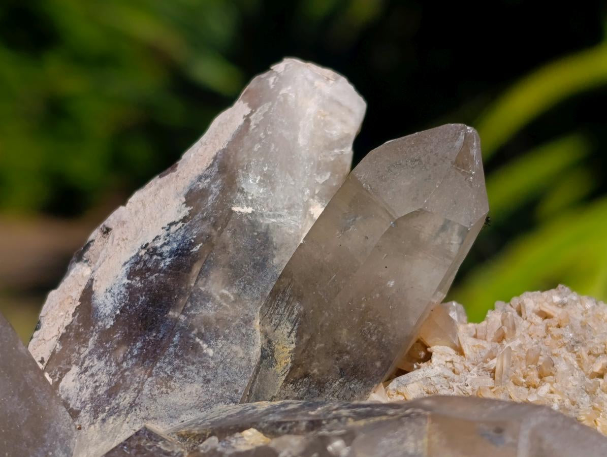 Natural Smokey Quartz Crystal Clusters x 3 From Erongo, Namibia - Toprock Gemstones and Minerals 