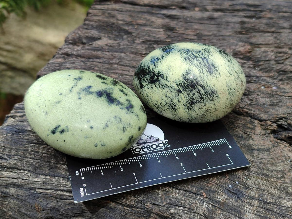 Polished Leopard Stone Free Forms x 12 From Zimbabwe - Toprock Gemstones and Minerals 