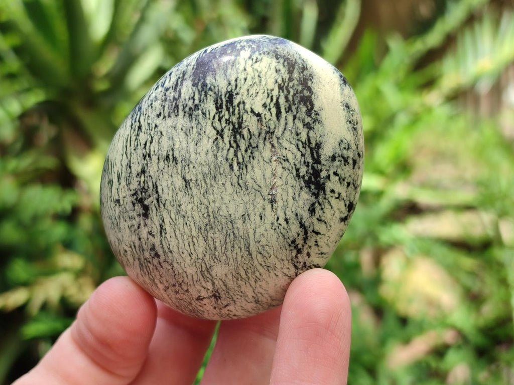 Polished Leopard Stone Free Forms x 12 From Zimbabwe - Toprock Gemstones and Minerals 