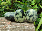 Polished Leopard Stone Free Forms x 12 From Zimbabwe - Toprock Gemstones and Minerals 