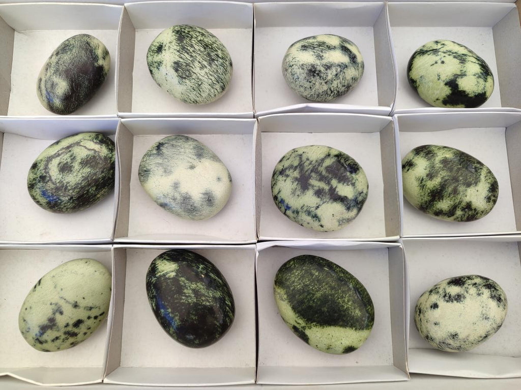 Polished Leopard Stone Free Forms x 12 From Zimbabwe - Toprock Gemstones and Minerals 