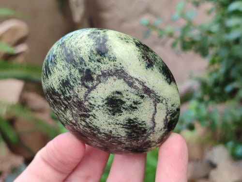 Polished Leopard Stone Free Forms x 12 From Zimbabwe - Toprock Gemstones and Minerals 