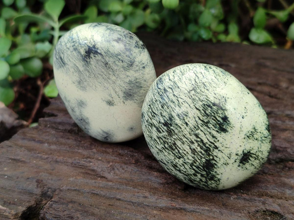 Polished Leopard Stone Free Forms x 12 From Zimbabwe - Toprock Gemstones and Minerals 