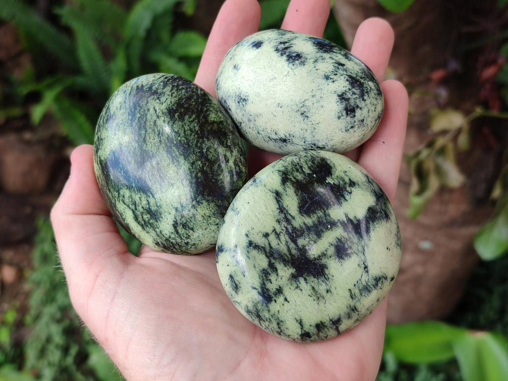 Polished Leopard Stone Free Forms x 12 From Zimbabwe - Toprock Gemstones and Minerals 