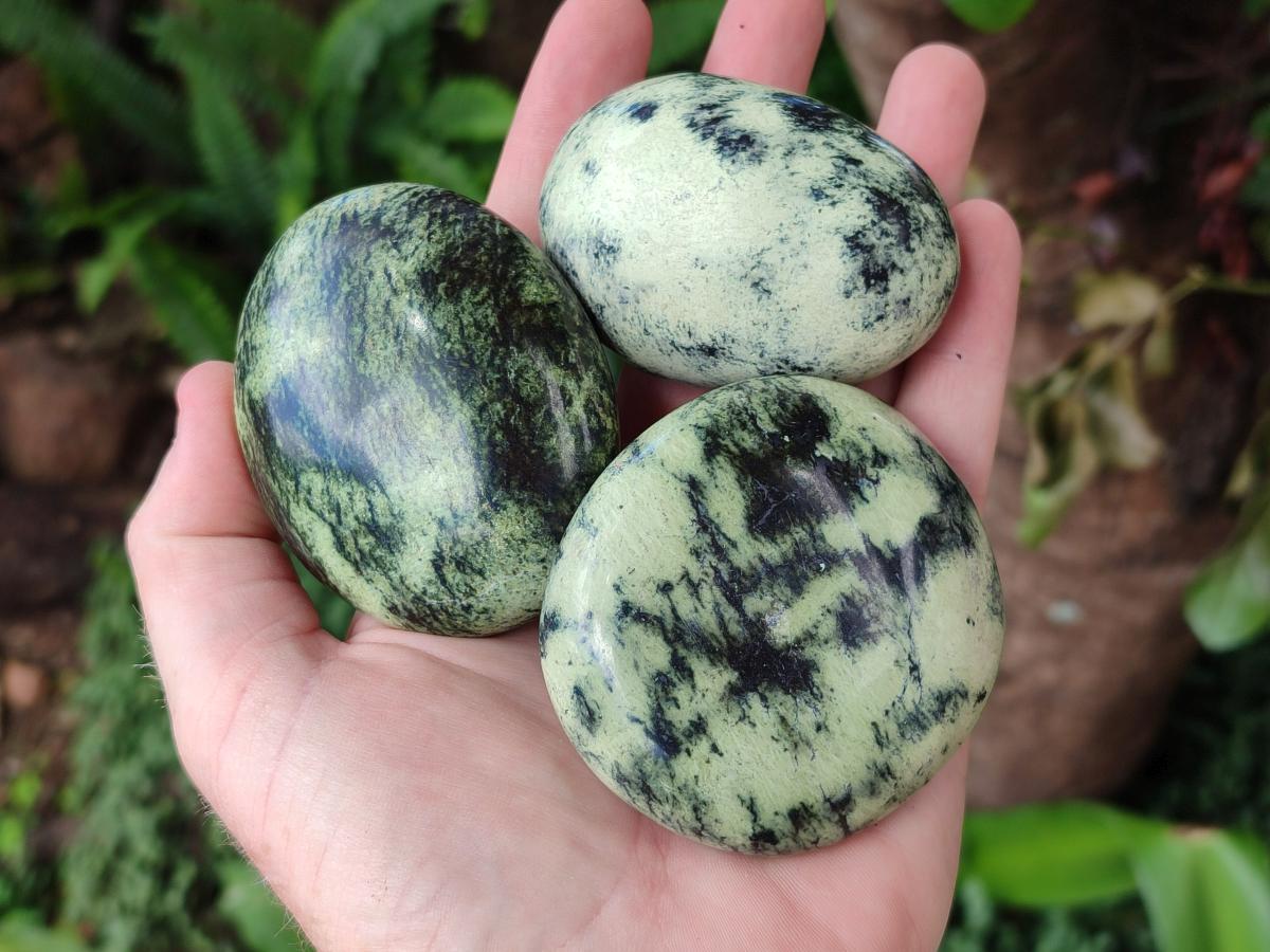 Polished Leopard Stone Free Forms x 12 From Zimbabwe - Toprock Gemstones and Minerals 