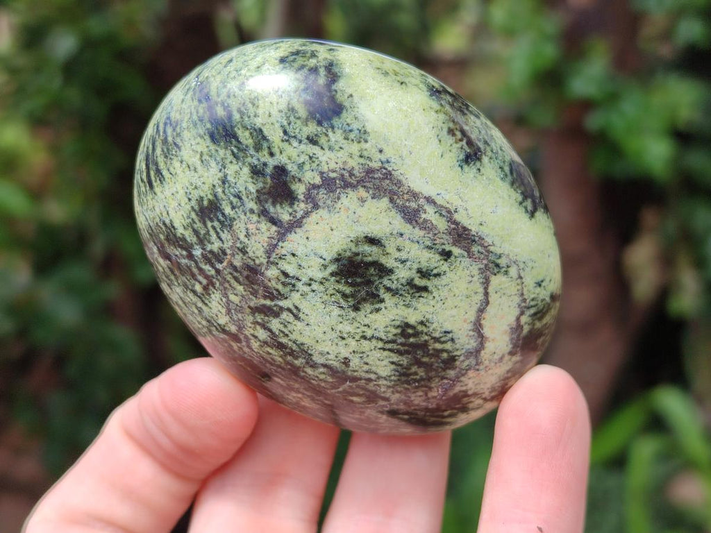 Polished Leopard Stone Free Forms x 12 From Zimbabwe - Toprock Gemstones and Minerals 