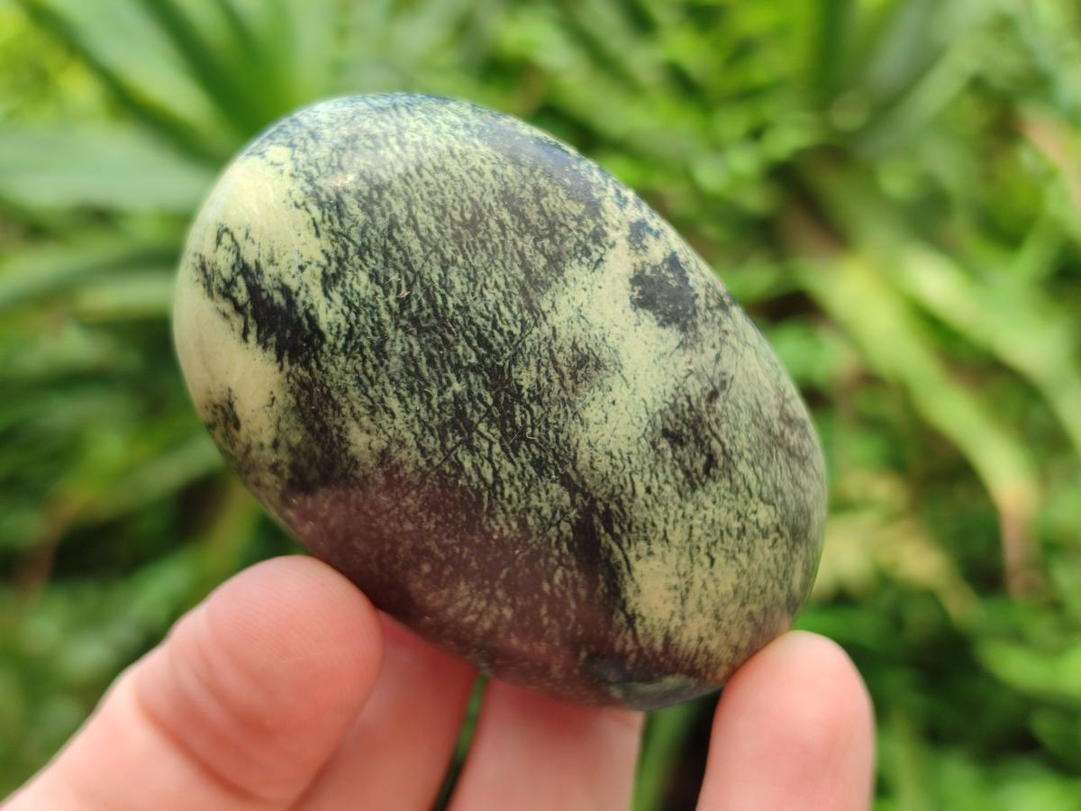 Polished Leopard Stone Free Forms x 12 From Zimbabwe - Toprock Gemstones and Minerals 