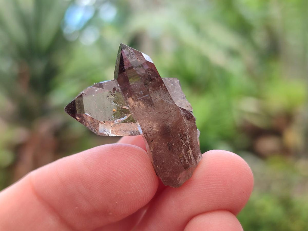 Natural Smokey Quartz Crystals x 70 From Zomba Plateau, Malawi - Toprock Gemstones and Minerals 