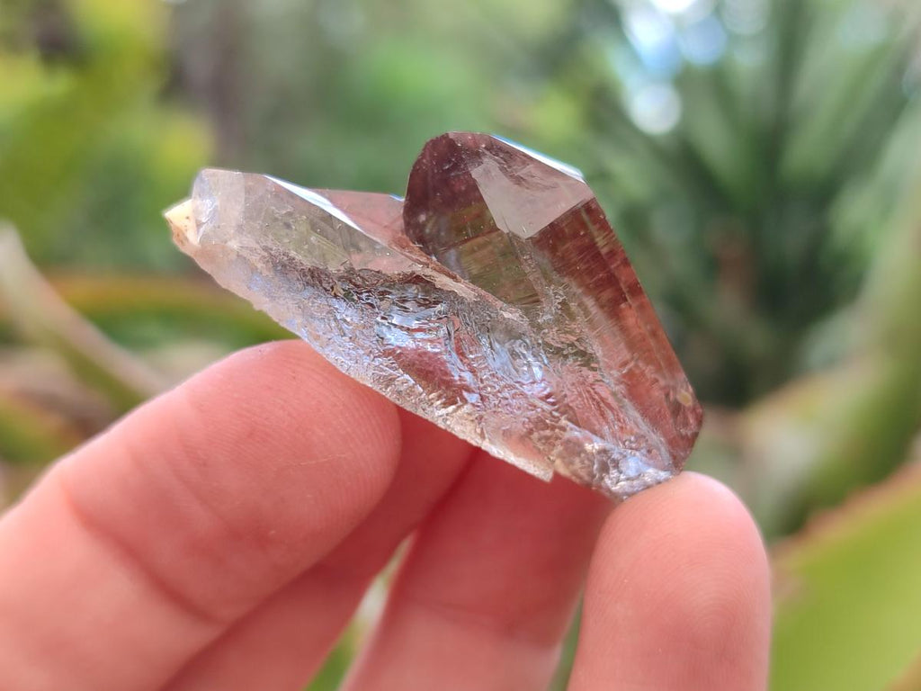 Natural Smokey Quartz Crystals x 70 From Zomba Plateau, Malawi - Toprock Gemstones and Minerals 