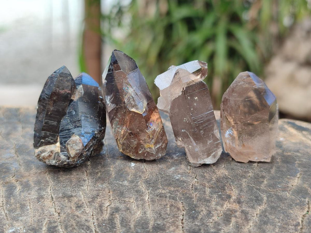 Natural Smokey Quartz Crystals x 70 From Zomba Plateau, Malawi - Toprock Gemstones and Minerals 