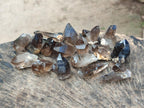 Natural Smokey Quartz Crystals x 70 From Zomba Plateau, Malawi - Toprock Gemstones and Minerals 