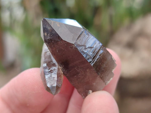 Natural Smokey Quartz Crystals x 70 From Zomba Plateau, Malawi - Toprock Gemstones and Minerals 