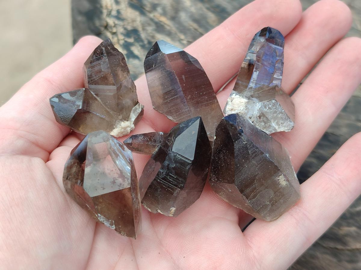 Natural Smokey Quartz Crystals x 70 From Zomba Plateau, Malawi - Toprock Gemstones and Minerals 