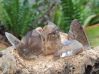 Natural Smokey Quartz Crystals x 70 From Zomba Plateau, Malawi - Toprock Gemstones and Minerals 