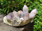 Natural Amethyst and Ametrine Spirit Clusters x 2 From Boekenhouthoek, South Africa - Toprock Gemstones and Minerals 